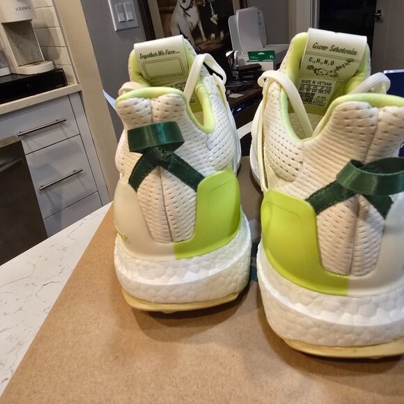 Adidas The Hidden Opponent x UltraBoost 1.0 JS1646 Men's Sz 9.5 White Green NEW - Picture 7 of 14